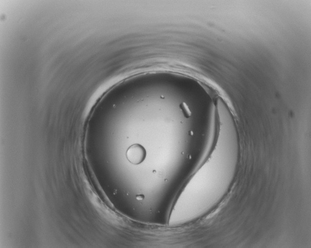 X0000061151530200511210948