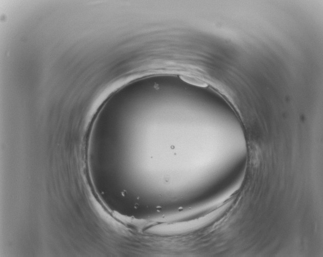 X0000061151531200511210948