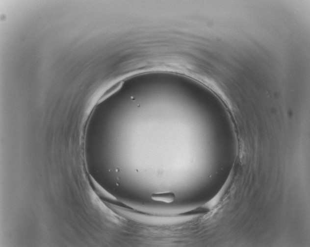 X0000061151532200511210948