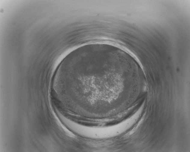 X0000061151533200511210948