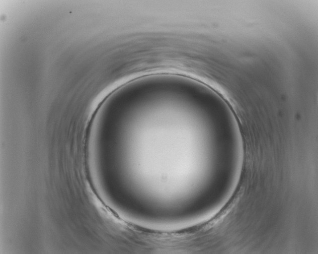 X0000061151534200511210948