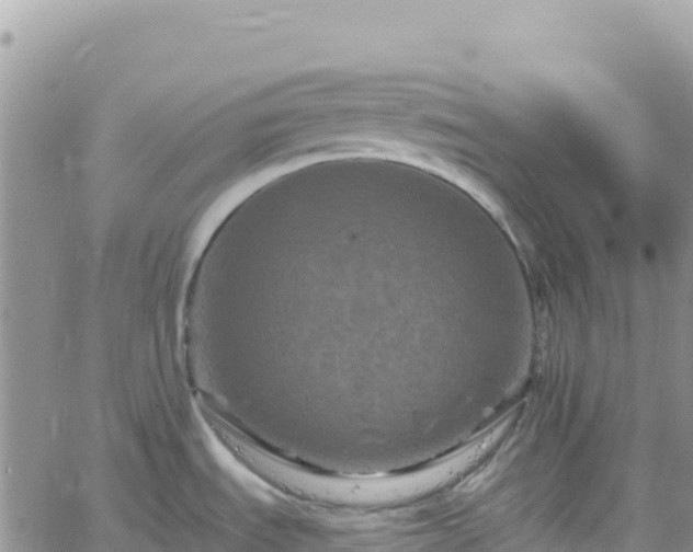 X0000061151535200511210948