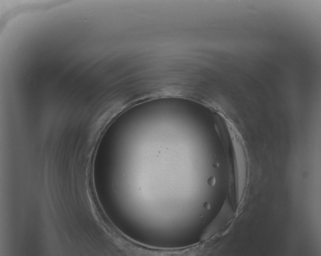 X0000061150001200511241843