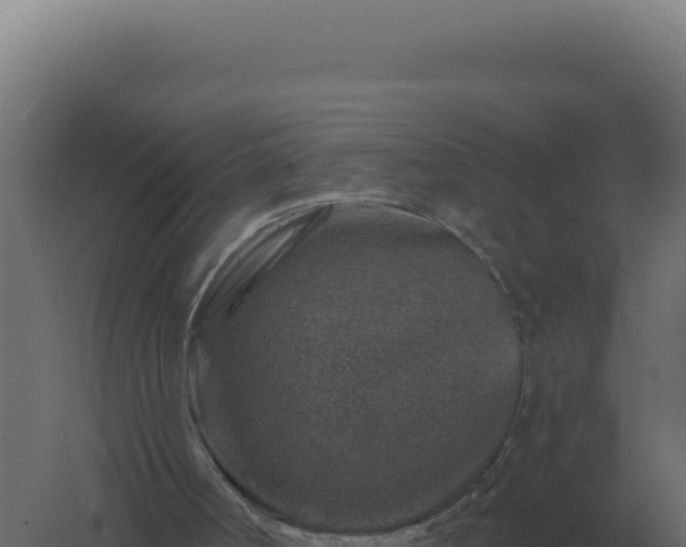 X0000061150002200511241843