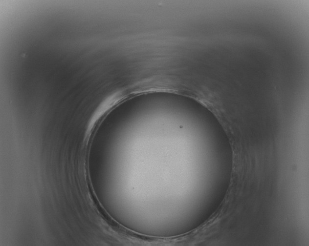 X0000061150004200511241843