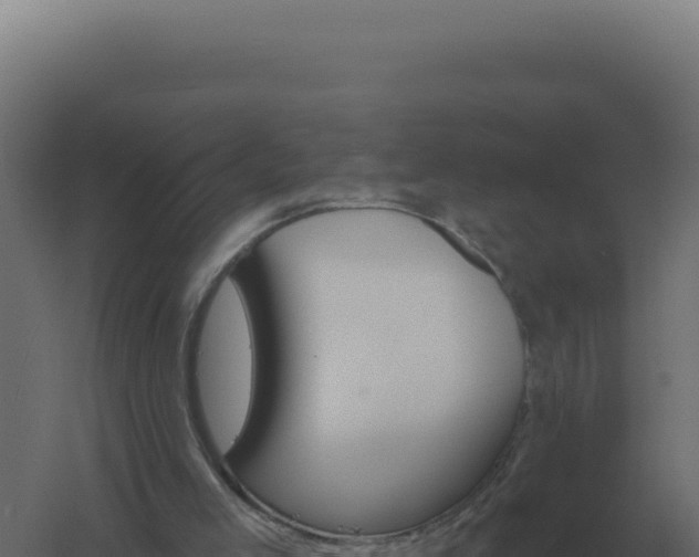 X0000061150005200511241843