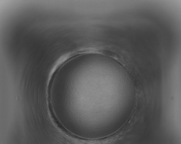 X0000061150006200511241843