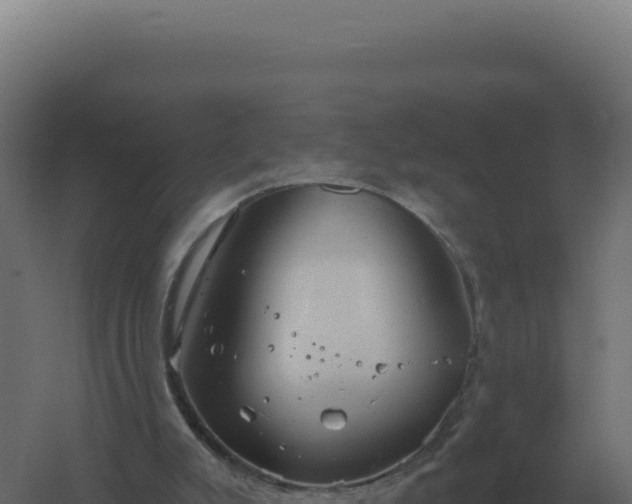 X0000061150007200511241843