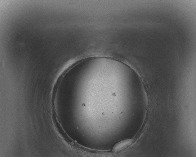 X0000061150008200511241843