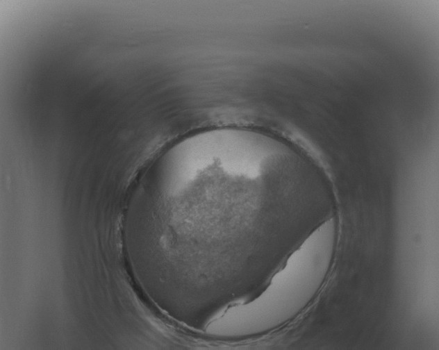 X0000061150009200511241843