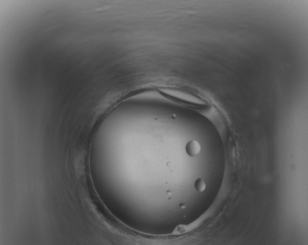 X0000061150010200511241843