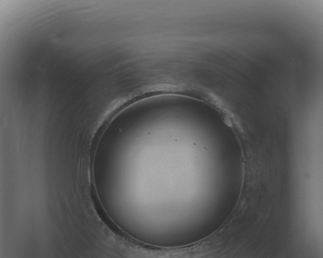 X0000061150011200511241843