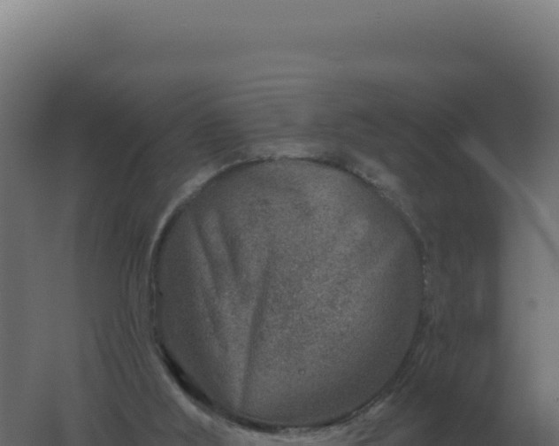 X0000061150012200511241843