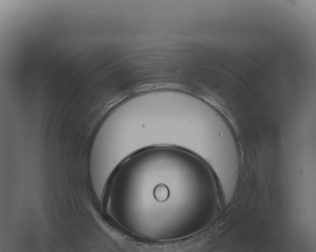 X0000061150013200511241843