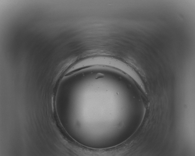 X0000061150014200511241843