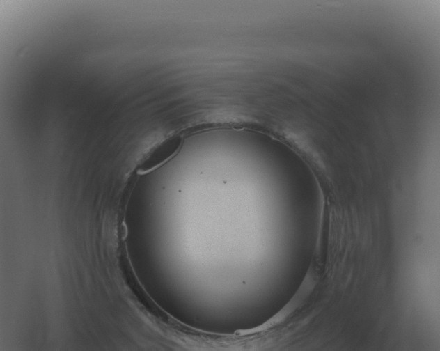 X0000061150015200511241843