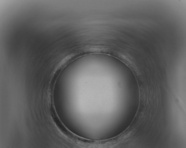 X0000061150016200511241843