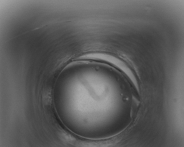 X0000061150017200511241843