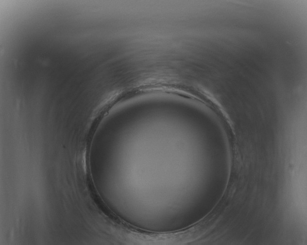 X0000061150019200511241843