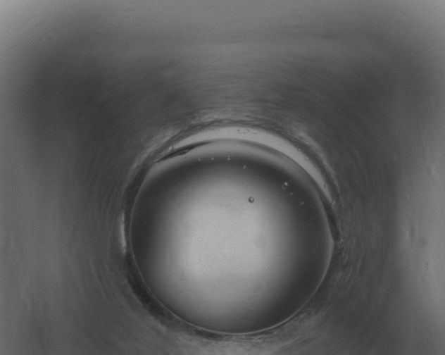 X0000061150020200511241843