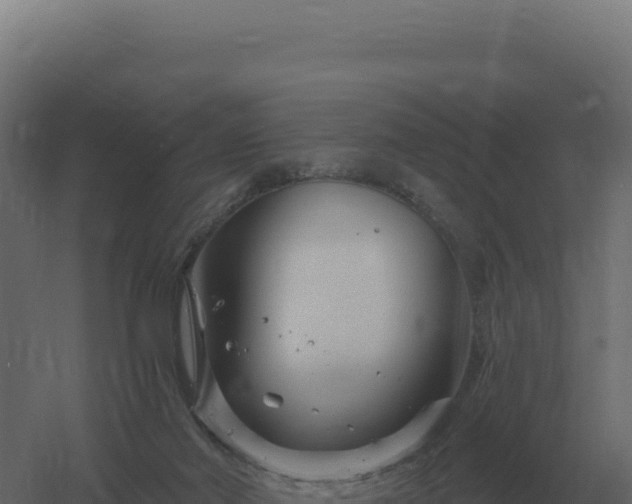 X0000061150022200511241843