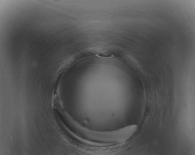 X0000061150023200511241843