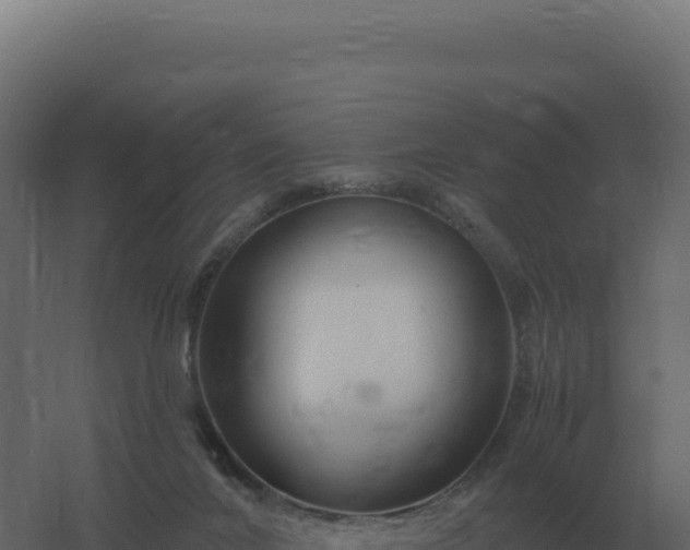 X0000061150024200511241843