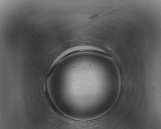 X0000061150026200511241843