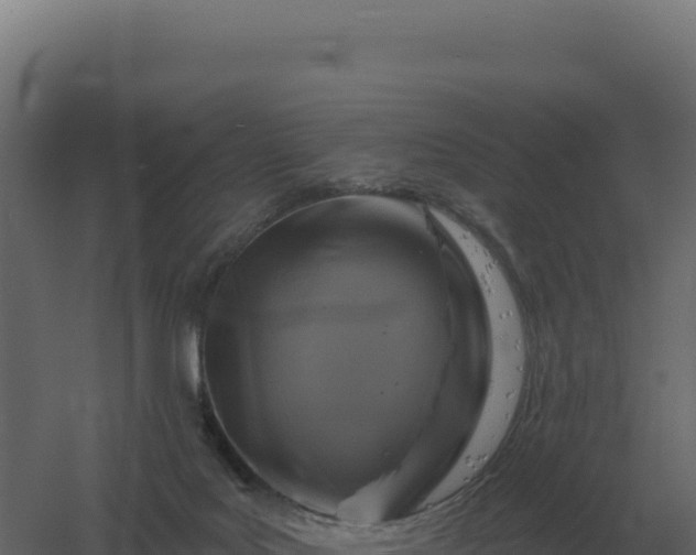 X0000061150027200511241843