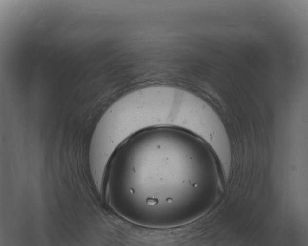 X0000061150029200511241843