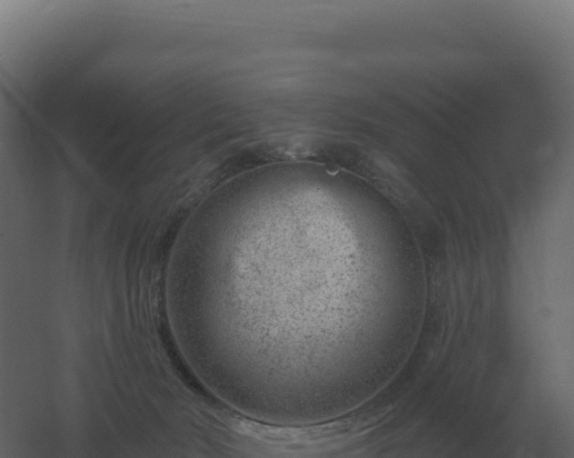 X0000061150030200511241843