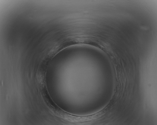 X0000061150031200511241843