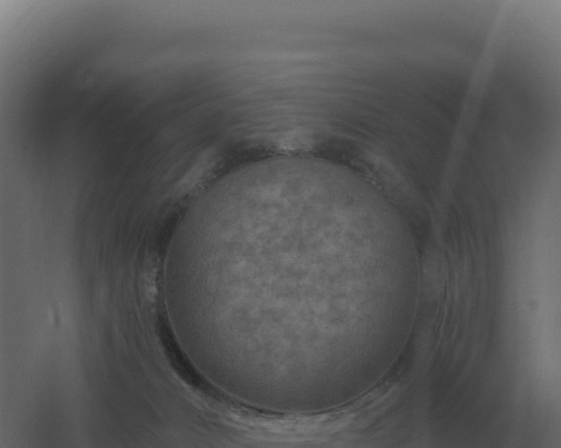 X0000061150032200511241843