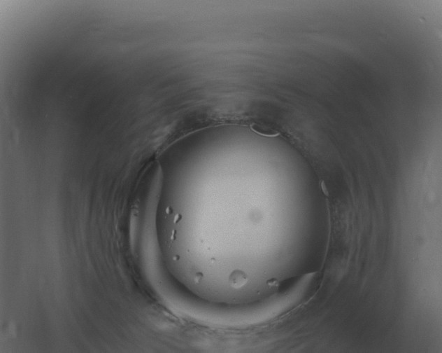 X0000061150033200511241843