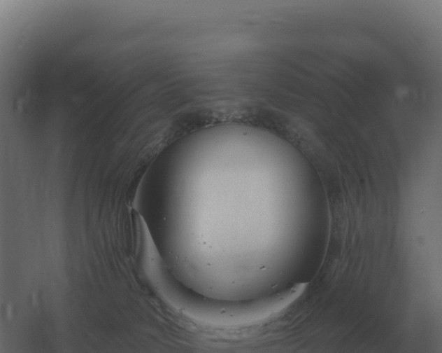 X0000061150034200511241843