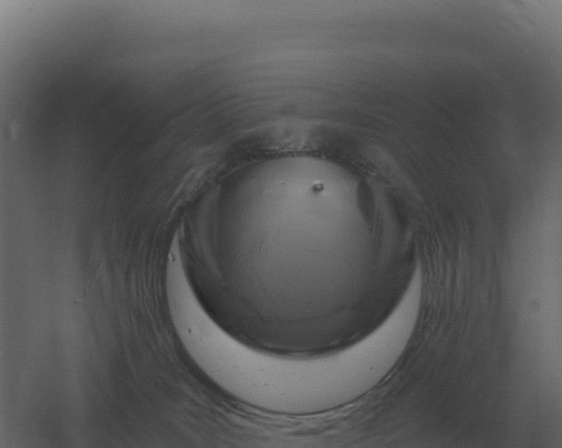 X0000061150035200511241843