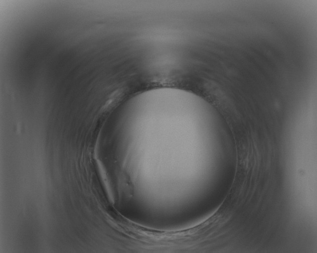 X0000061150036200511241843