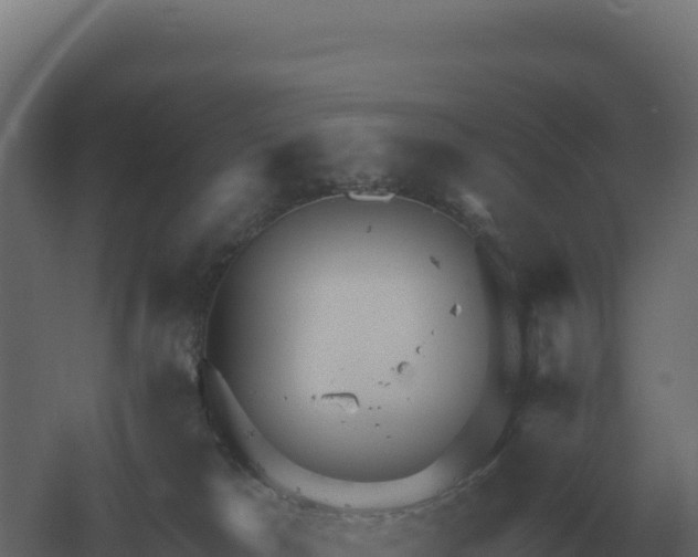 X0000061150037200511241843