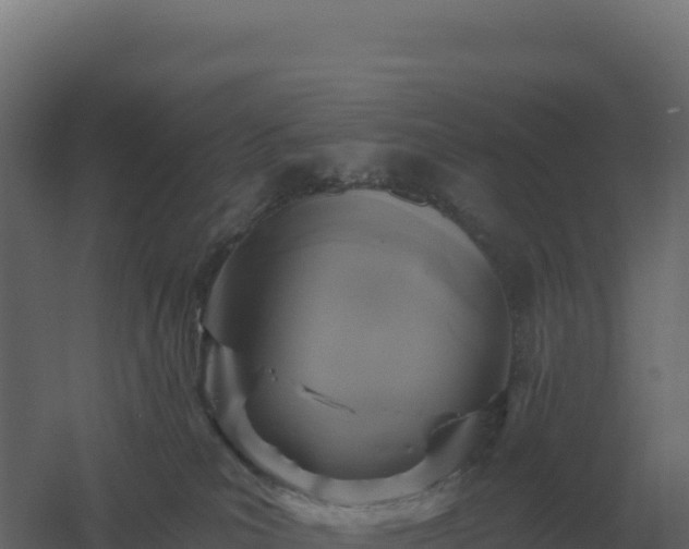 X0000061150039200511241843