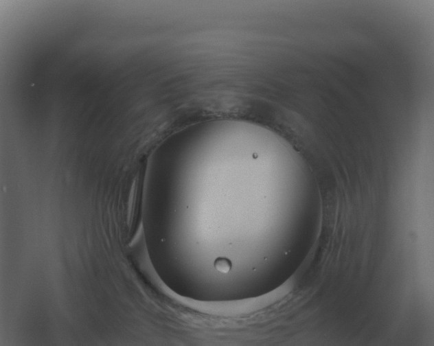 X0000061150040200511241843