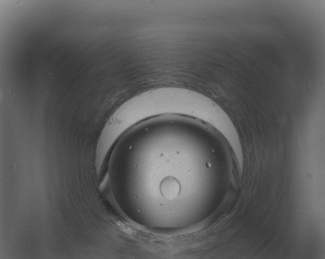 X0000061150041200511241843