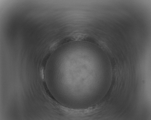 X0000061150042200511241843