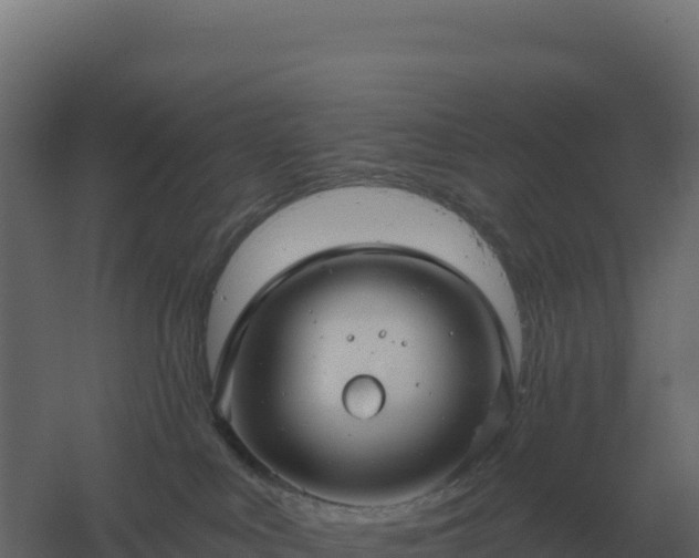 X0000061150043200511241843