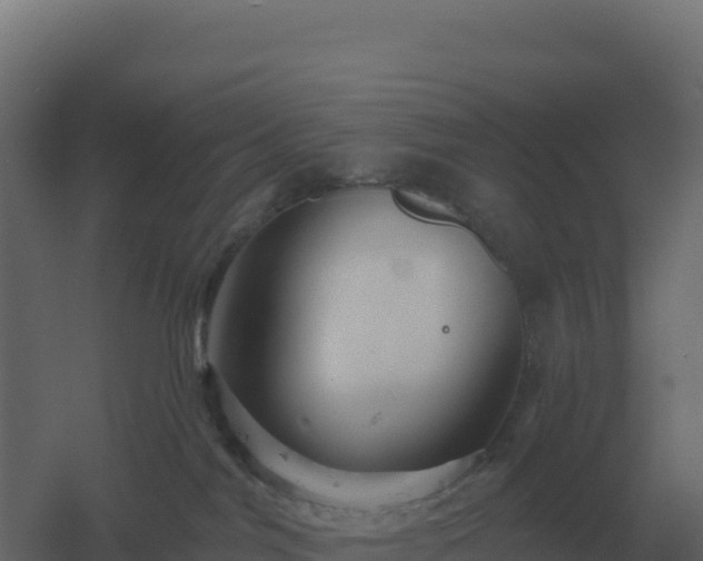 X0000061150044200511241843