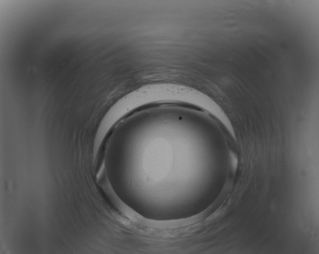 X0000061150045200511241842