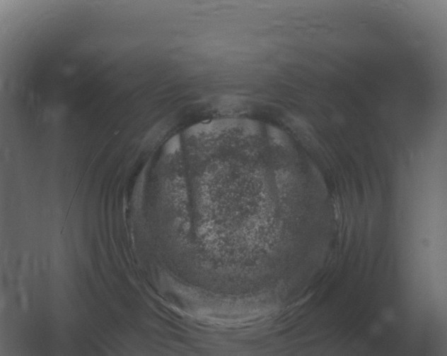 X0000061150046200511241842