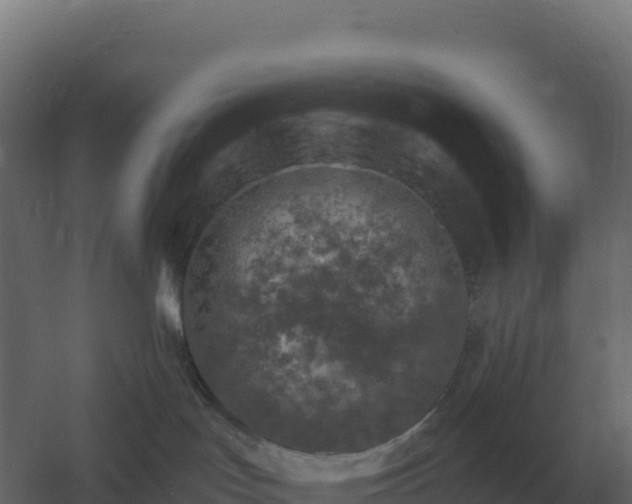 X0000061150047200511241842