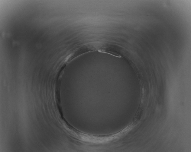 X0000061150048200511241842