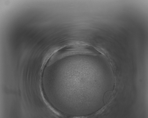 X0000061150049200511241842