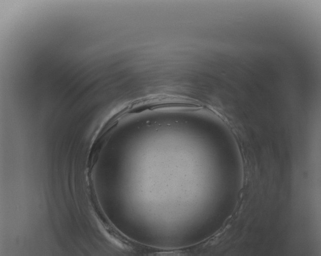 X0000061150050200511241842